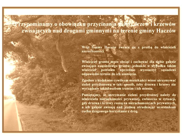 Obowiązek przycinania gałęzi nad drogami