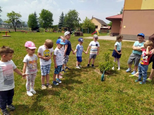 mamy-pociag-do-ekologii_34.jpg