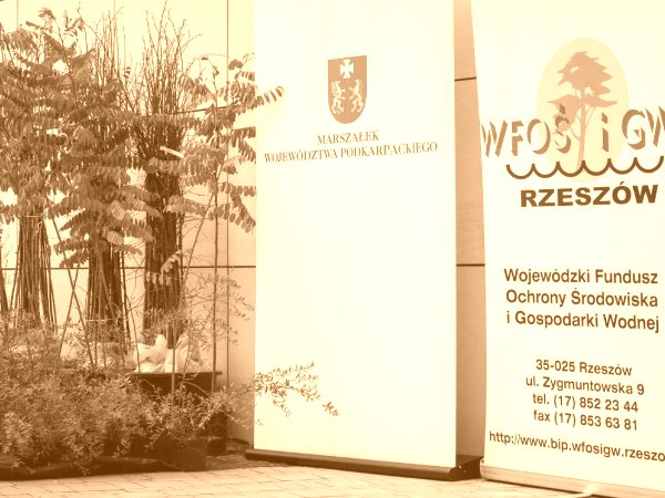 Sadzenie drzew i krzewów miododajnych