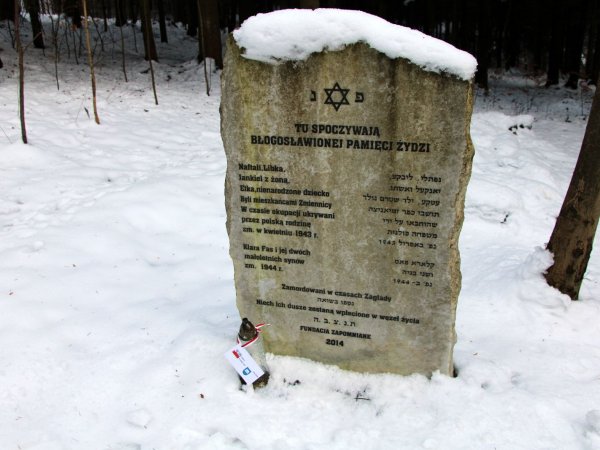 Międzynarodowy Dzień Pamięci o Ofiarach Holokaustu - 2025