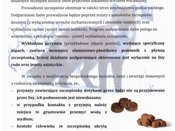 Szczepienie lisów 16-25 kwietnia 2026 r.