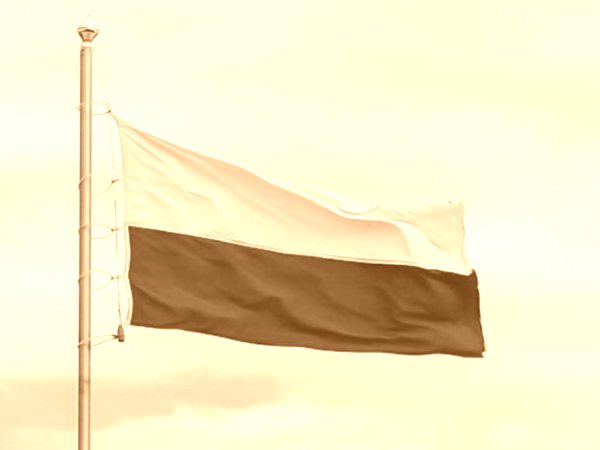 Odsłonięcie masztu postawionego w ramach projektu „Pod biało-czerwoną”