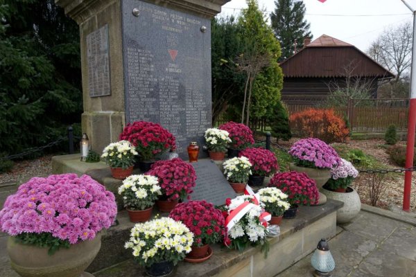 2020-11-11-swieto-niepodleglosci_8.jpg