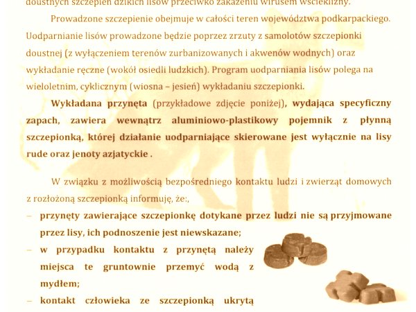 Szczepienie lisów 16-25 kwietnia 2026 r.