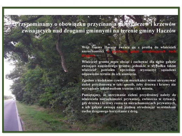 Obowiązek przycinania gałęzi nad drogami