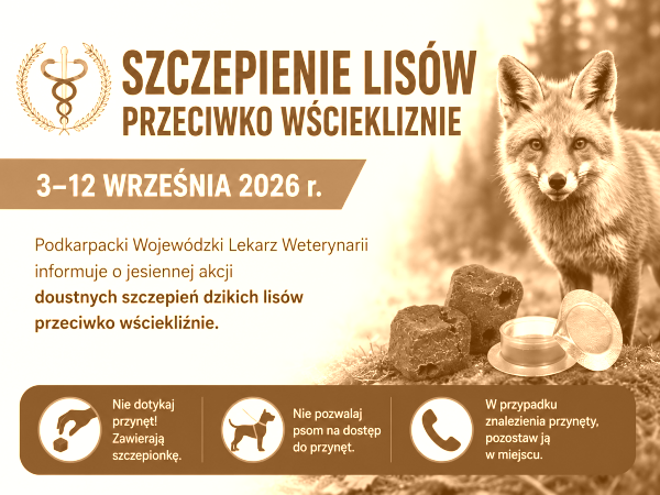 Szczepienie lisów - jesień 2026 r.